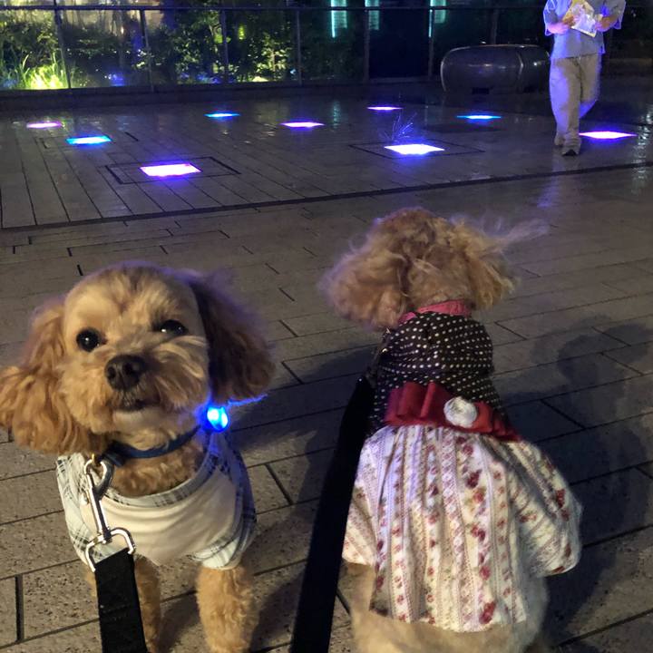 09d4e91a 4b55 4695 9eb8 45db8b3a05a4 1684684121556