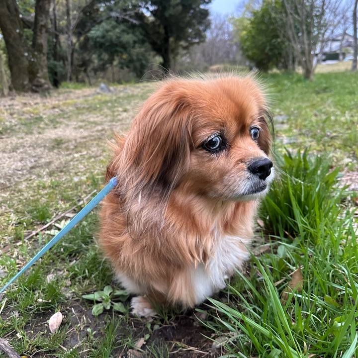 09d54328 d112 4be9 b17d f82c6a5e75b7 1712092764773