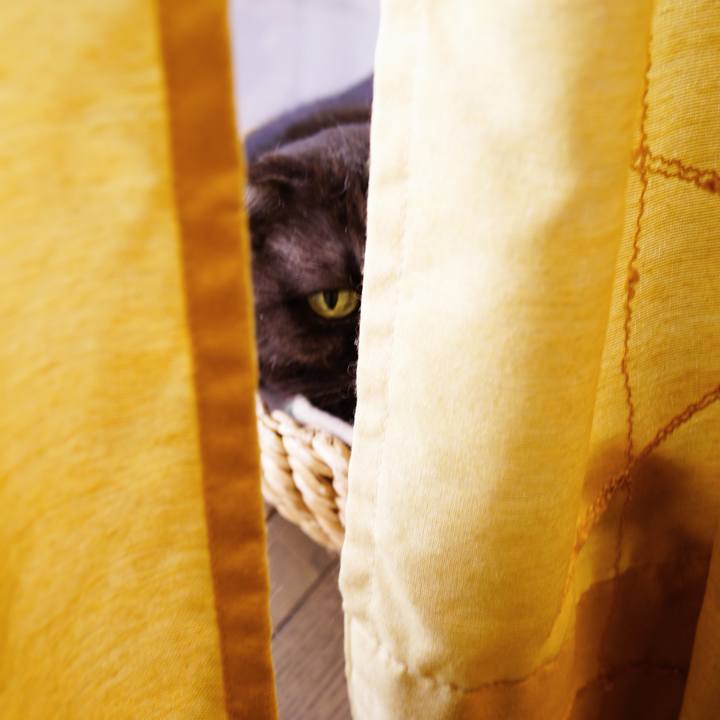 09d54f6d adba 4daf ab5e bf003c9dfb44 1640273569054