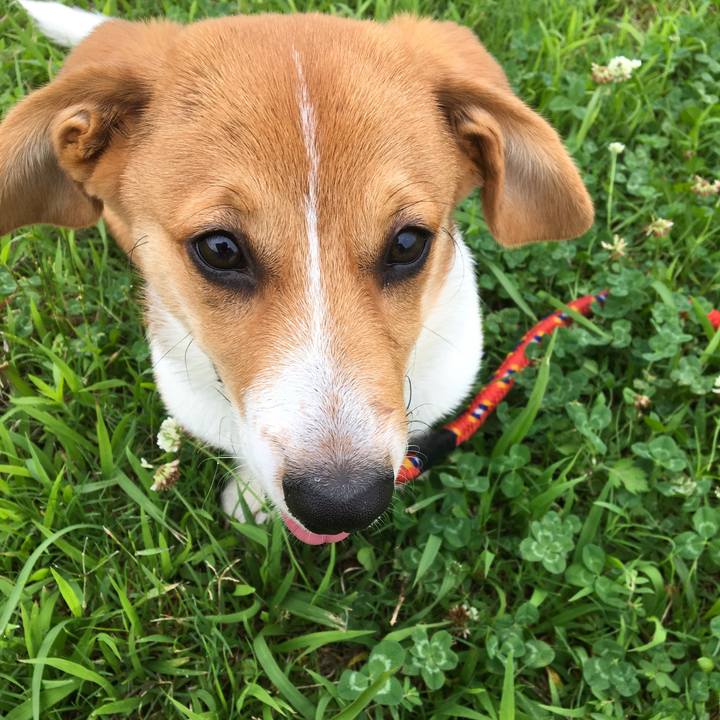 09d563cc b03a 4480 aed1 9dd75e609c3f 1593913341091