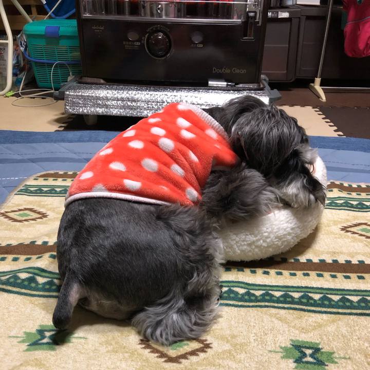 09d57683 12ac 4b64 8dc5 4e31cc4b95da 1708608512699