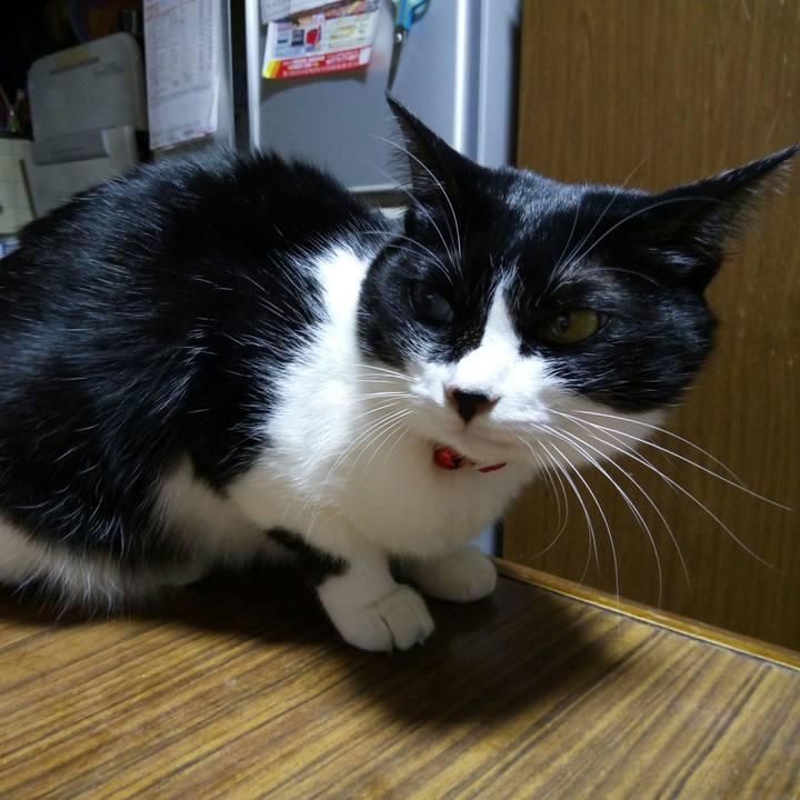 09d5826f 73c2 4805 810b 4288bb8fa471 1510395860642