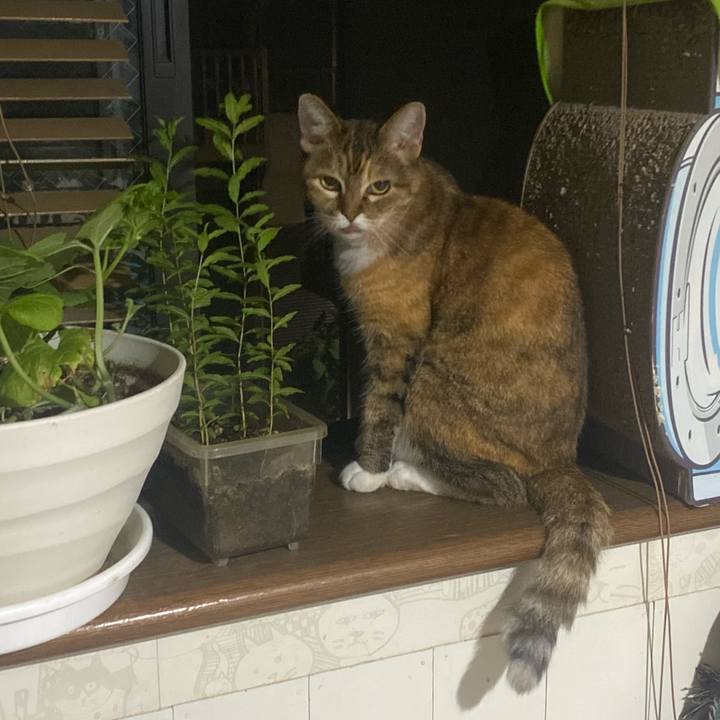 09d5d025 6492 4668 a799 a00314382ae9 1756051497919