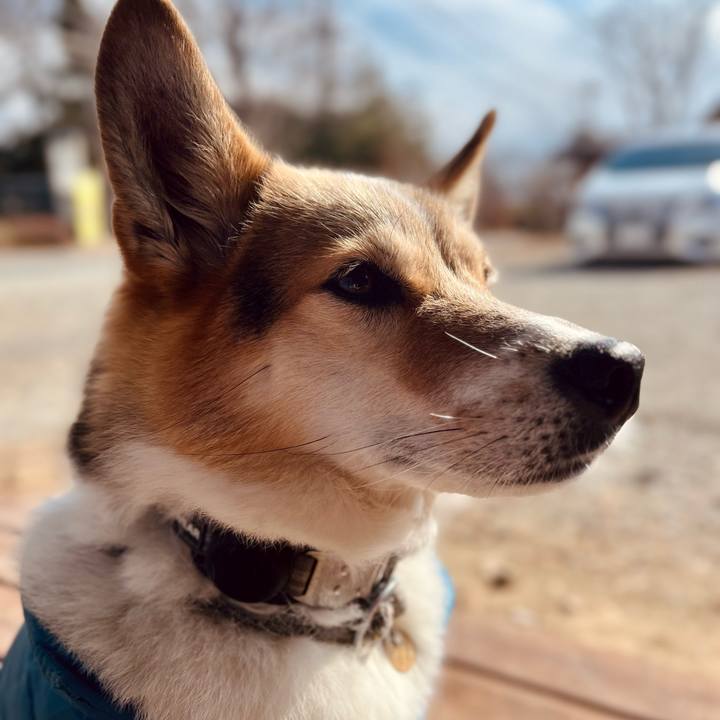 09d5e914 10ec 4e90 a636 f794bd538e07 1769233160278