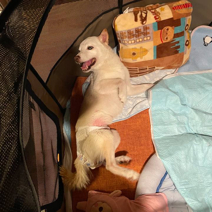 09d5fd33 eb21 463f ad2b 529cdb823a81 1665315739069