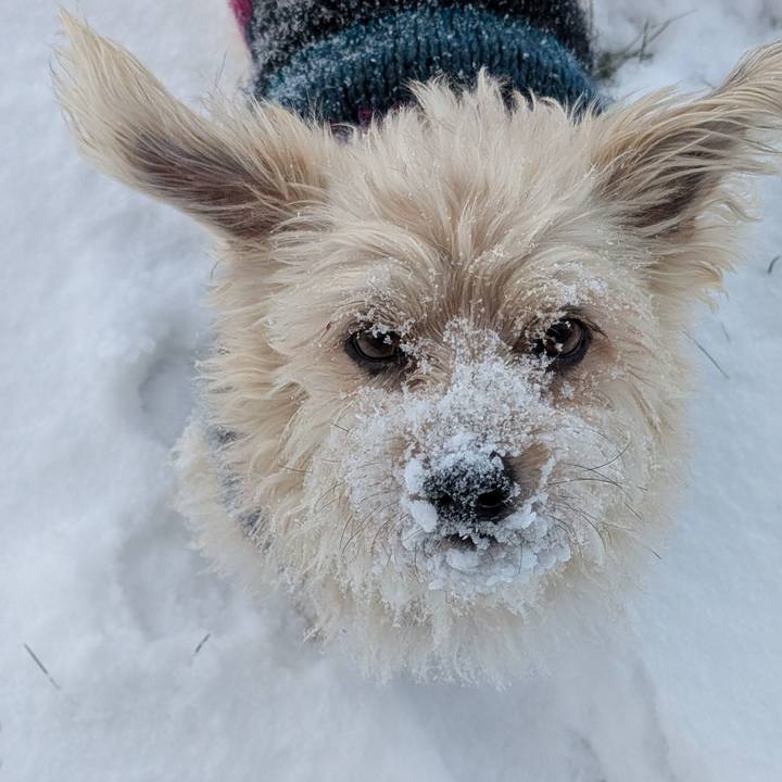 09d6001b f488 48f9 bbe5 0fee6e57e907 1768118062028