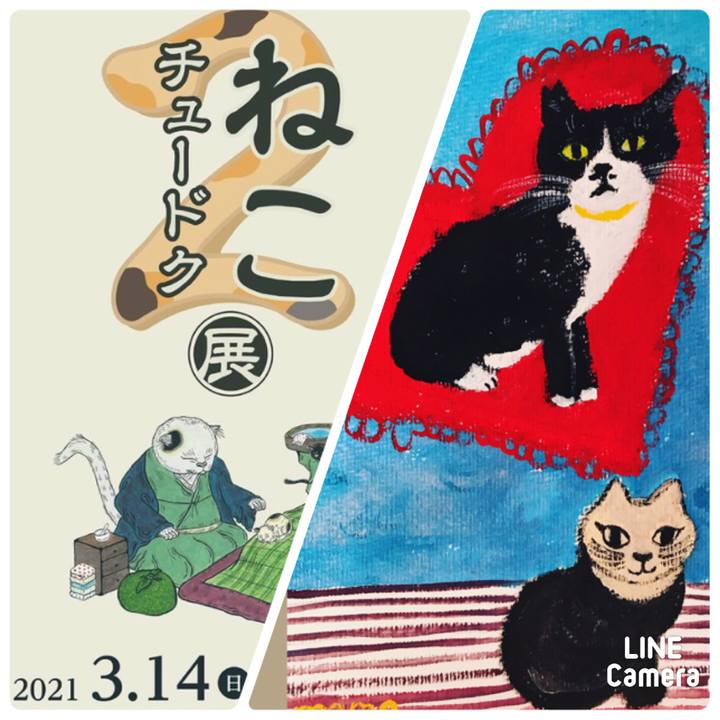 09d61ac2 5214 45ba b725 a7257c002dfd 1615461589803