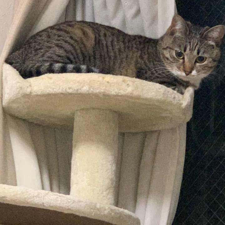 09d61dd0 47ed 4ac6 bfa9 1776e5fea509 1544229660223