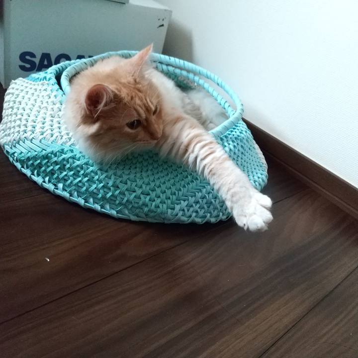 09d6230d c111 4392 ab88 f50e589e7151 1622934676265