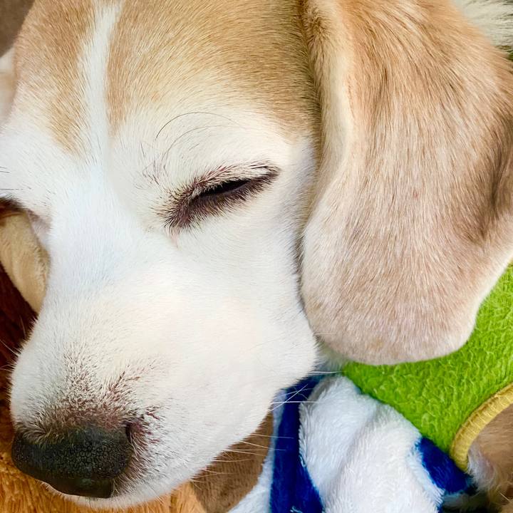 09d62a9d eb3d 483d b42c b96ac64fae4c 1583900118084