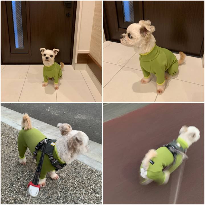 09d67a13 1698 4a5e a839 b55d6cf9047e 1605181791994