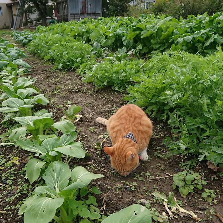 09d680ac a5d9 48a8 9047 e749dc1cc6e4 1571545387655