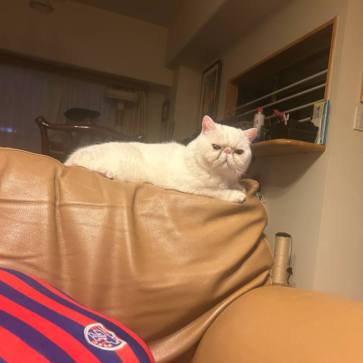 09d697db c582 467f 8eca b583065f4e50 1785665345458