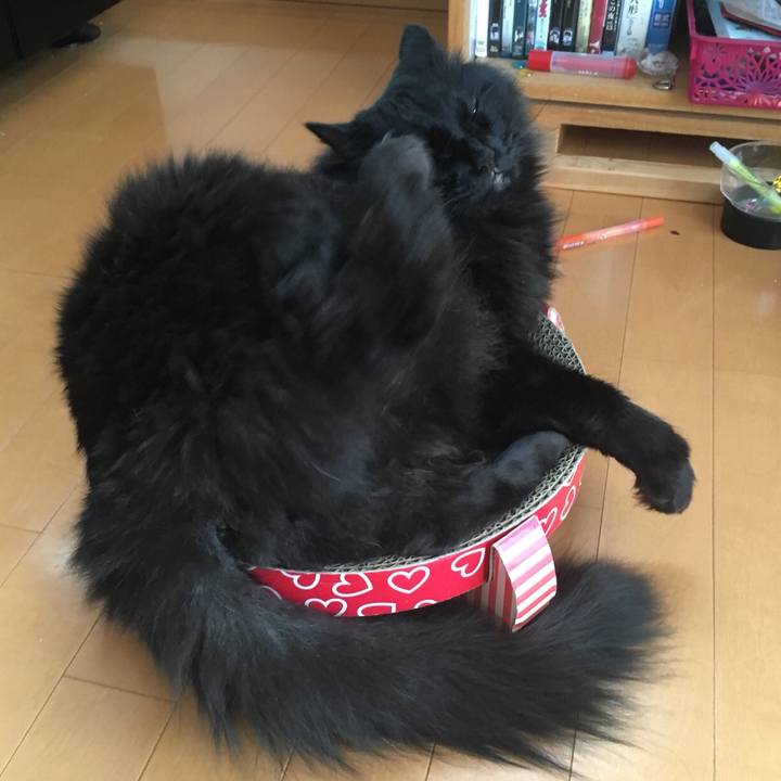 09d6a057 f8c7 4e21 9658 3dbc3adb56e5 1574566335651