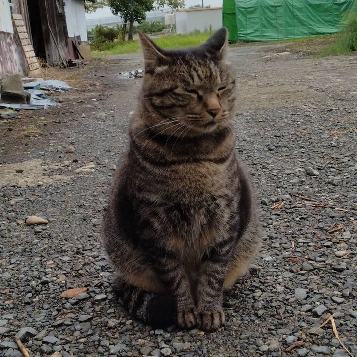 09d6a9a0 03ca 41e8 afab 17931997bf0a 1663924838180