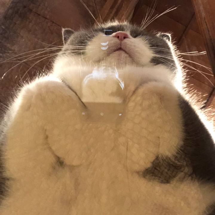 09d6ba58 6a45 4ec1 b9eb 8a0e0240aac5 1596876452645