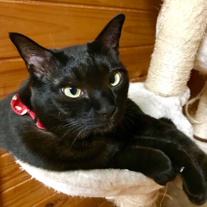 09d6d31a 7a86 4f1c bef4 65d8c084ffaa 1515767525832