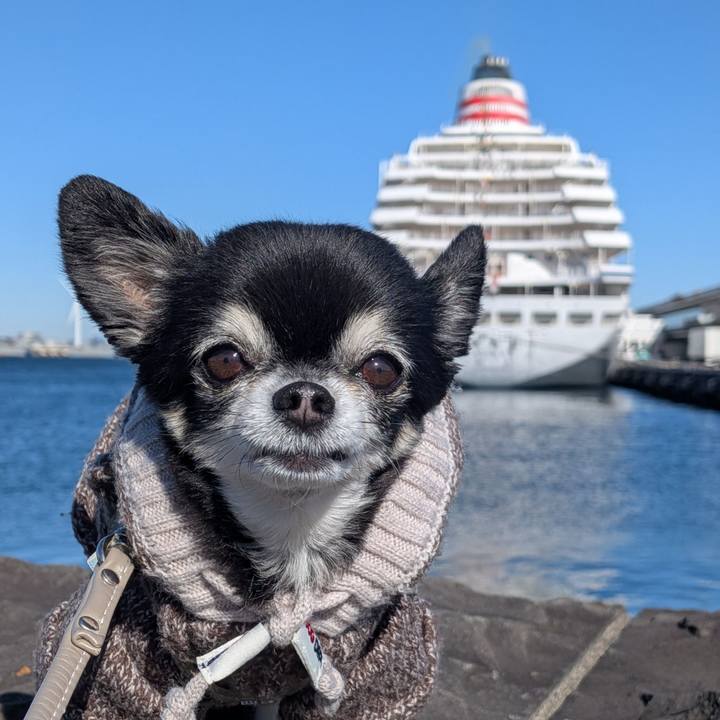 09d6da7e ed69 4ddb 9e0d b46b85d6a1a1 1768044893181