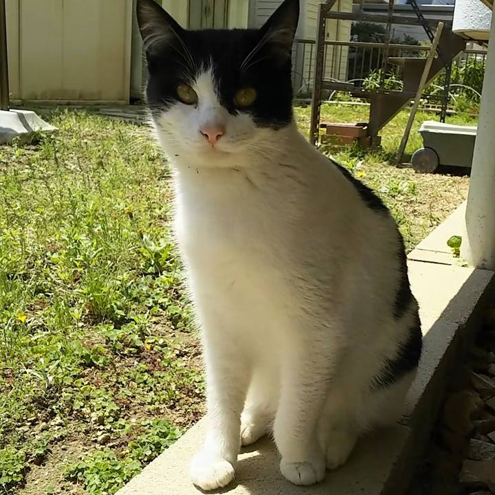 09d6dd50 c51c 428a 8a3e c83ed9f31727 1556770379841