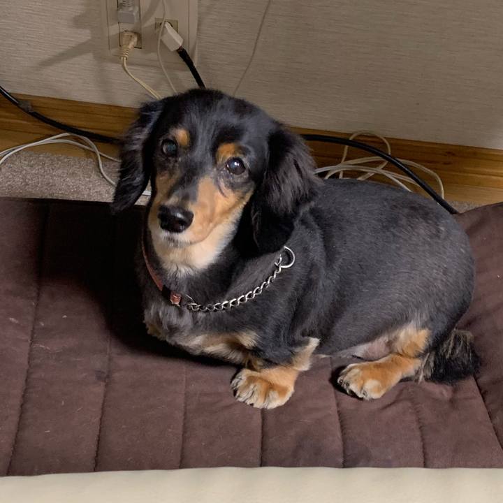 09d721e3 7535 4752 af1d c9852d1e17b7 1572299412188