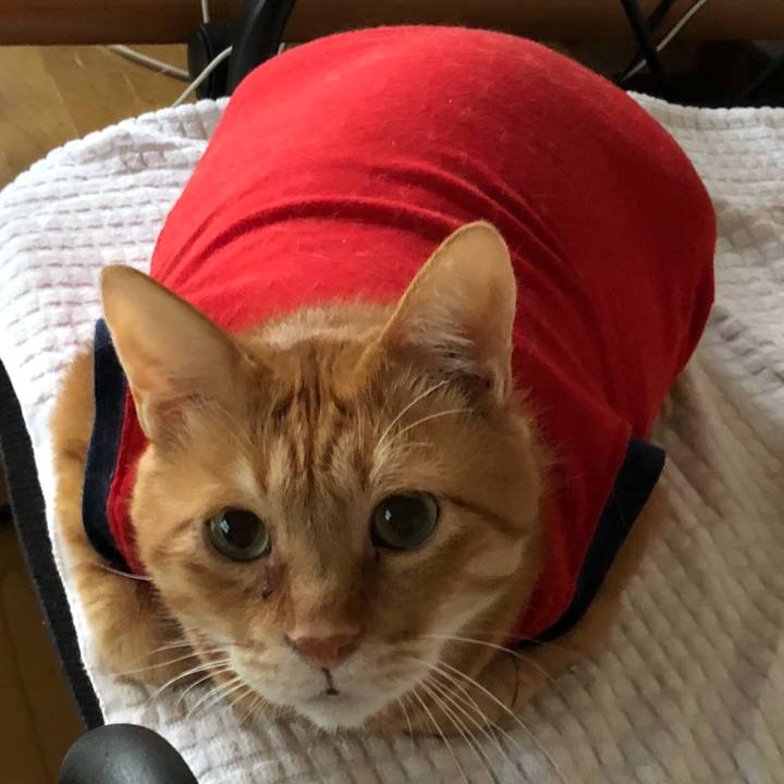 09d72328 3d42 4b54 ae37 9f7a1f3d7e93 1635716615921