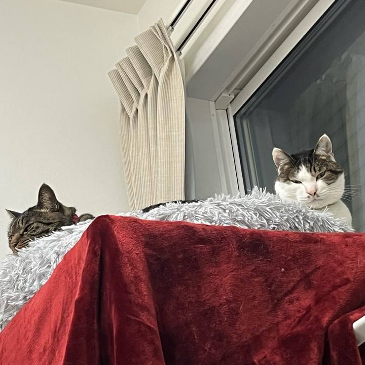 09d7524b 58c7 4647 9813 f9f7e4eb0357 1777036998928