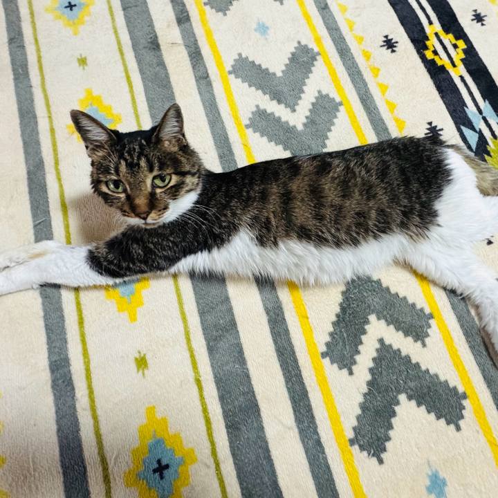 09d75c9b cfc5 421b ab78 a3a07c755284 1736815378769