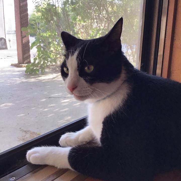 09d76a34 3193 47cb 9a05 47fa3c60e0bf 1755601513533