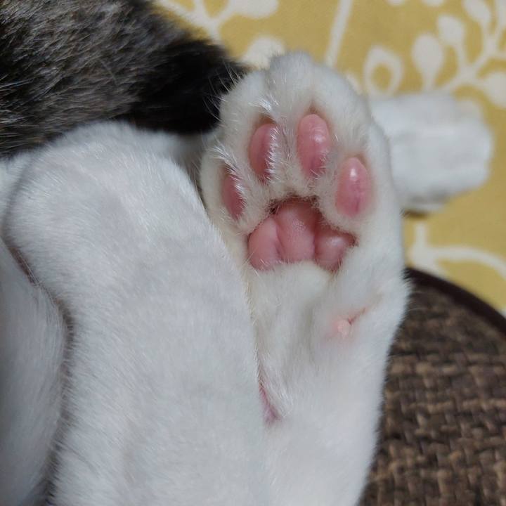 09d77188 86f6 41a2 88d9 50bbd491546d 1747821863360