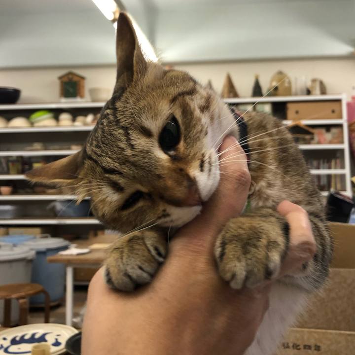 09d774fd 0d4c 421f 820b 2be28ab245be 1620916422779