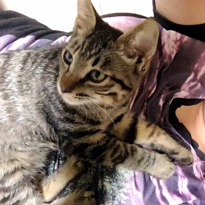 09d79d12 df0d 45bf b35a 69156dee5579 1538189869711