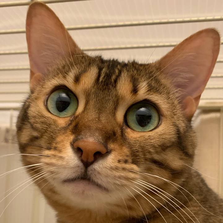 09d79d4b b68a 473e ac7e 85ed64b8beb8 1560554302939