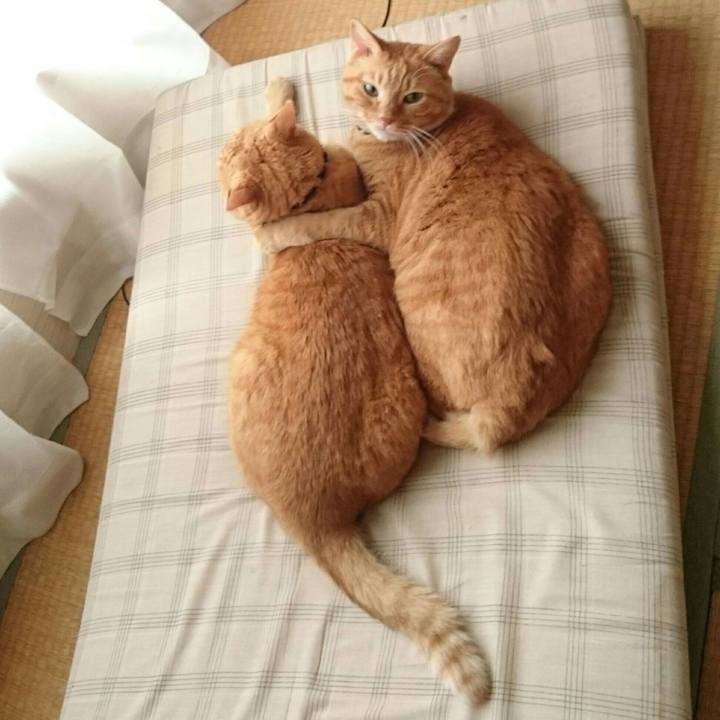 09d7c684 efbc 4565 a356 a3f8c60fdd13 1536044246286