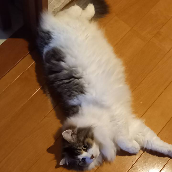 09d7eb8d 1bd5 4609 93b8 4d4f7b1cf80f 1688416503436