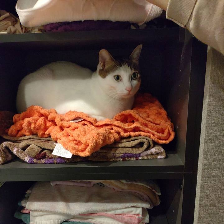 09d7fce2 fbf1 4a33 8533 f3312ddac43a 1761393221294