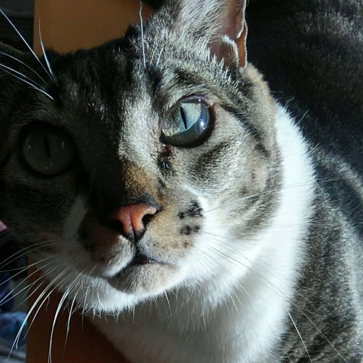 09d833bf 96e3 4022 8924 bb482ebb203c 1509575813809