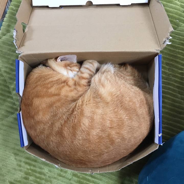 09d839d6 ed03 4258 85d4 db94ae608a69 1544324951070