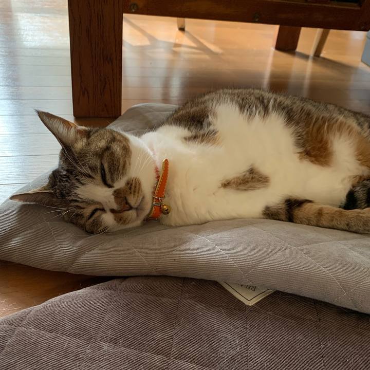 09d840a0 c1ff 44ed b0b2 ab00fec3f58d 1645146741233