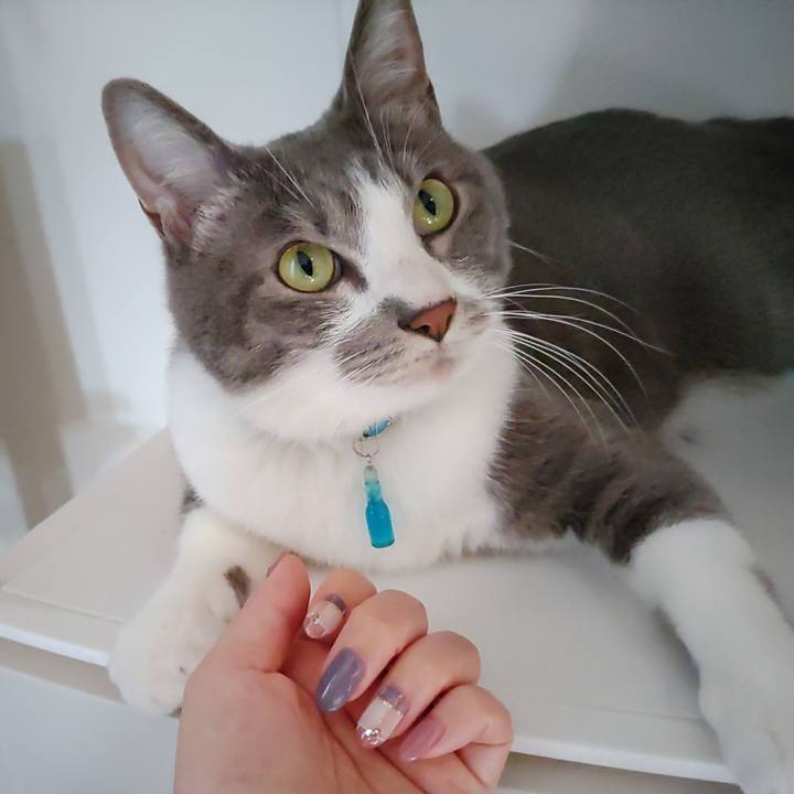 09d859ec 4df2 40bf 8d08 21b66c35be3f 1664355997080