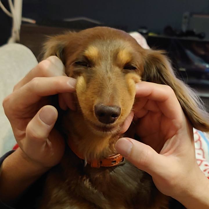 09d87f6c 103e 4bbb af3e 1f3807732e64 1616421761696