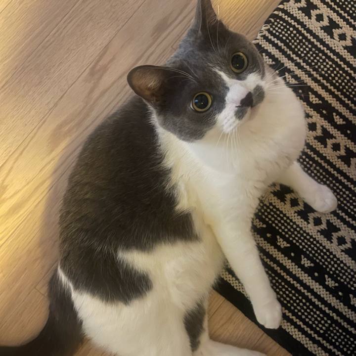 09d89150 e206 43bd beb8 a51309bbb771 1754177148064