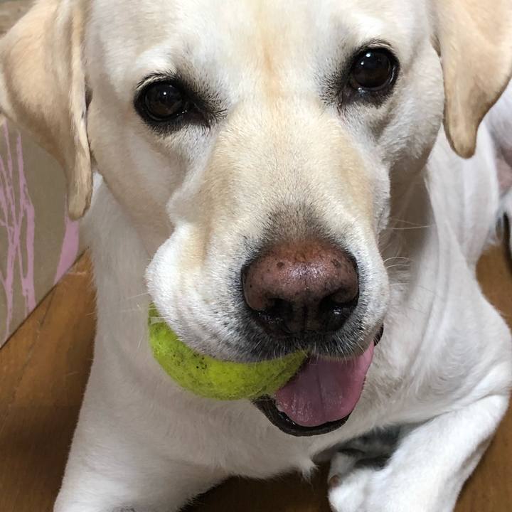 09d8a70c 8f69 4876 961b bafc88ba2f7f 1623110005132