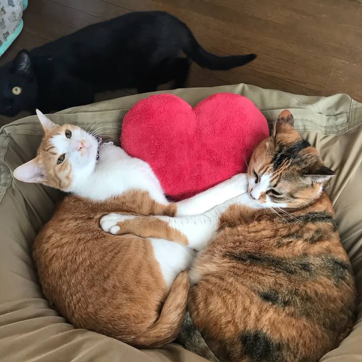 09d8bbb3 e384 4695 ad6e 01b8570950c7 1519265040133