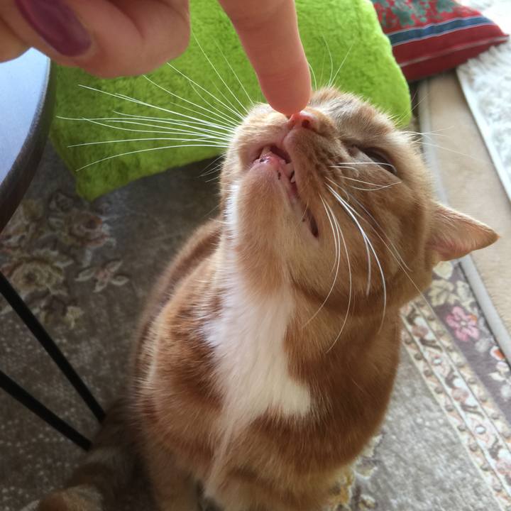 09d8d678 b2b0 46b4 89c5 6283b7493765 1583645380932