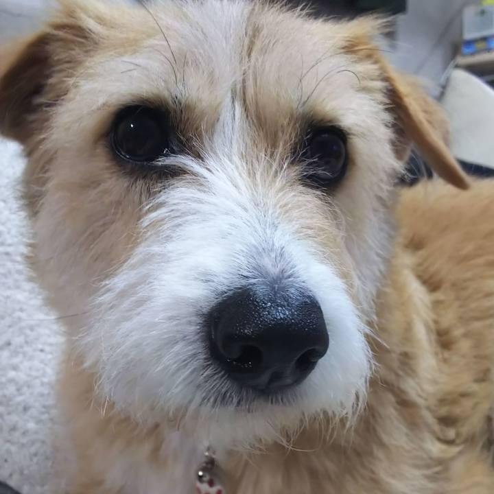 09d8d81f a381 4fe2 b39e 20cdeaa64e64 1558521216652