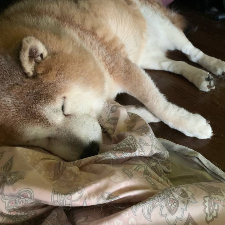 09d8e7e3 93fe 44b1 b707 b1b48391d81c 1634684635052