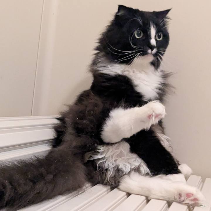 09d8ec41 4a13 4850 bd90 90cbedcef4a2 1745710327287