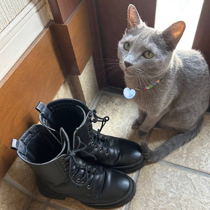 09d9398b 4e02 4874 bb09 ca1ef996b25c 1755493079883