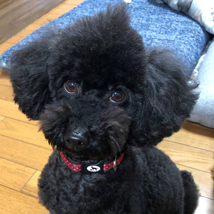 09d9679c 4a49 4a6d 947b c6bb8ee35a86 1611378943339