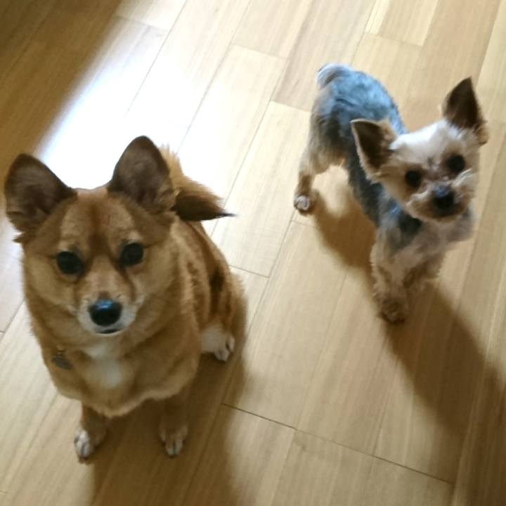 09d99ae7 c6fd 44bb b9da 580a1e007d61 1552429734048